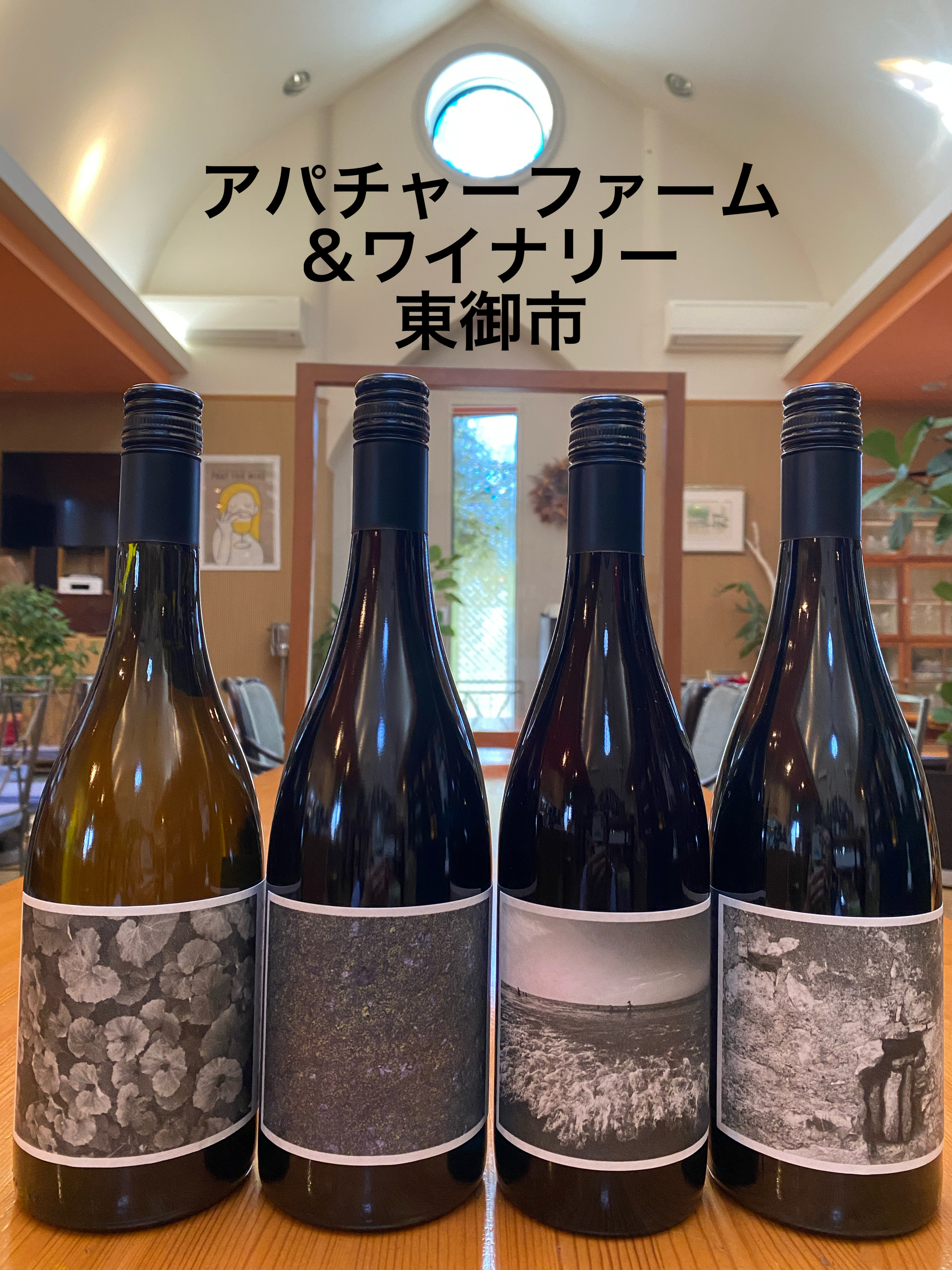 Ynot アパチャーファームワイン3本セット アパチャーファーム、テールドシエル、getta winesの 試飲DAYにご参加